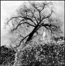 Bruce DAVIDSON, Butte Montmartre, 2006, Paris, France - (c) Agence Magnum/Maison Européenne de la Photographie, Paris, 2007 ££