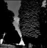Bruce DAVIDSON, Jardin du Luxembourg, 2006, Paris, France - (c) Agence Magnum/Maison Européenne de la Photographie, Paris, 2007 ££