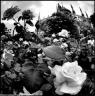 Bruce DAVIDSON, Jardin des Tuileries, 2006, Paris, France - (c) Agence Magnum/Maison Européenne de la Photographie, Paris, 2007 ££