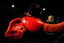 Atelier VAN LIESHOUT, The Womb House, 2004. Mousse de polyuréthanne, fibre de verre. 212 x 536 x 660 cm. Jousse entreprise, Paris (c) Atelier Van Lieshout/Courtesy Jousse entreprise, Paris/Photo: Doryck Sembaz