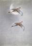 UEMURA Atsushi, Chant des oies sauvages, 1988. Tableau à encadrer, polychrome sur papier, 223 x 181 cm