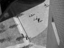 David CLAERBOUT, Sections of a Happy Moment, 2007. Vidéoprojection, 4 x 3, noir et blanc, son stéréo, disque dur 160GO, 26 mn. Courtesy David Claerbout & Galerie Micheline Szwajcer, Galerie Yvon Lambert, Hauser and Wirth, Johnen/Schöttle