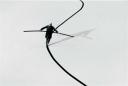 Gilbert GARCIN, Tout peut arriver. Filigranes Editions