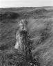 Robert ADAMS, An old-growth log in the dunes on Clatsop Spit, Oregon, 1991. Série West from the Columbia. 28 x 20 cm. Tirage argentique. Exposition On the Edge, Fondation Cartier pour l'art contemporain, Paris, du 16 novembre 2007 au 27 janvier 2008 (c) Robert Adams