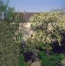 Le jardin du musée de Montmartre, Paris