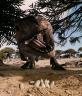 Image du film Dinosaures 3D de Marc Fafard, projeté à La Géode, Paris