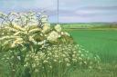 David Hockney, Woldgate before Kiham. Courtesy Annely Juda Fine Art