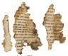 Rouleau du Temple, IIe siècle BCE (c) The Israel Museum, Jerusalem