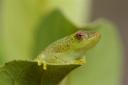 La biodiversité en images