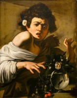 Caravage, Garçon mordu par un lézard, 1594. Huile sur toile © Firenze, Fondazione di Studi di Storia dell’Arte Roberto Longhi