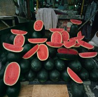 ￼￼￼￼￼￼￼￼￼￼￼￼Pastèques dans le quartier de Rajabazar, Kolkata nord,. Juillet 2014 (c) Patrick Faigenbaum