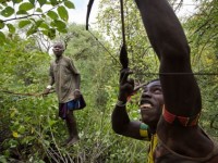 Hadza - Derniers des premiers hommes © Matthieu Paley