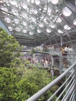 Académie des Sciences de Californie, San Francisco, 2000- 2008, RPBW Ph : Tim Griffith © RPBW – Renzo Piano Building Workshop Architects