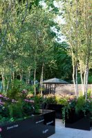 Jardins, Jardin aux Tuileries, 2015