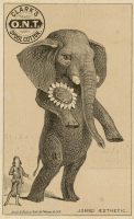 Cartes publicitaires se moquant du mouvement esthétique, 1882. Collection Merlin Holland