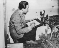 Walt Disney dessinant un faon pour Bambi, 1942 © Disney