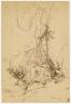 Jean-Baptiste Camille Corot (1796-1875), Etude d'arbres à Civita Castellana, 1827, Plume et encre brune, sur traits de graphite, sur papier jauni, Paris, musée du Louvre, DAG - (c) Photo RMN / Thierry Le Mage