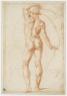 Baccio BANDINELLI, Homme nu, vu de dos, le bras gauche levé au-dessus de la tête. Sanguine, traces de mise en place au stylet. 42,7 x 29 cm. Musée du Louvre, département des Arts graphiques, inv. 2994 (c) RMN / Thierry Le Mage