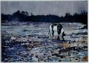 Pinto, 2000. Huile sur toile de lin, 49 x 69 cm. Collection Carolyn et Leslie Goldbart (c) Peter Doig