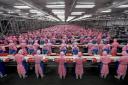 Edward Burtynsky. Manufacturing #17, Deda Chicken Processing Plant, Dehui City, Jilin Province, China, 2005. Chromogenic Colour Print (c) Edward Burtynsky. Courtesy Flowers, London