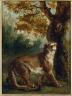 Eugène Delacroix (1789-1863). Le Puma. 1859. Huile sur toile. Paris, musée d'Orsay (c) RMN / Hervé Lewandowski