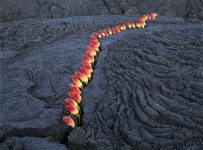 Quand la nature se fait matière picturale