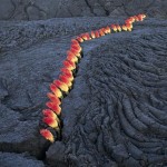 Quand la nature se fait matière picturale