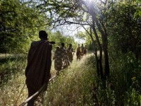 Hadza - Derniers des premiers hommes © Matthieu Paley