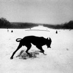 Josef Koudelka