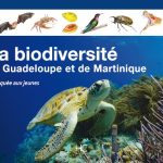 Biodiversité des Antilles