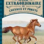 Chevaux et poneys