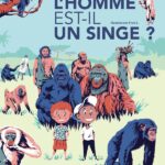 L’homme est-il un singe ?