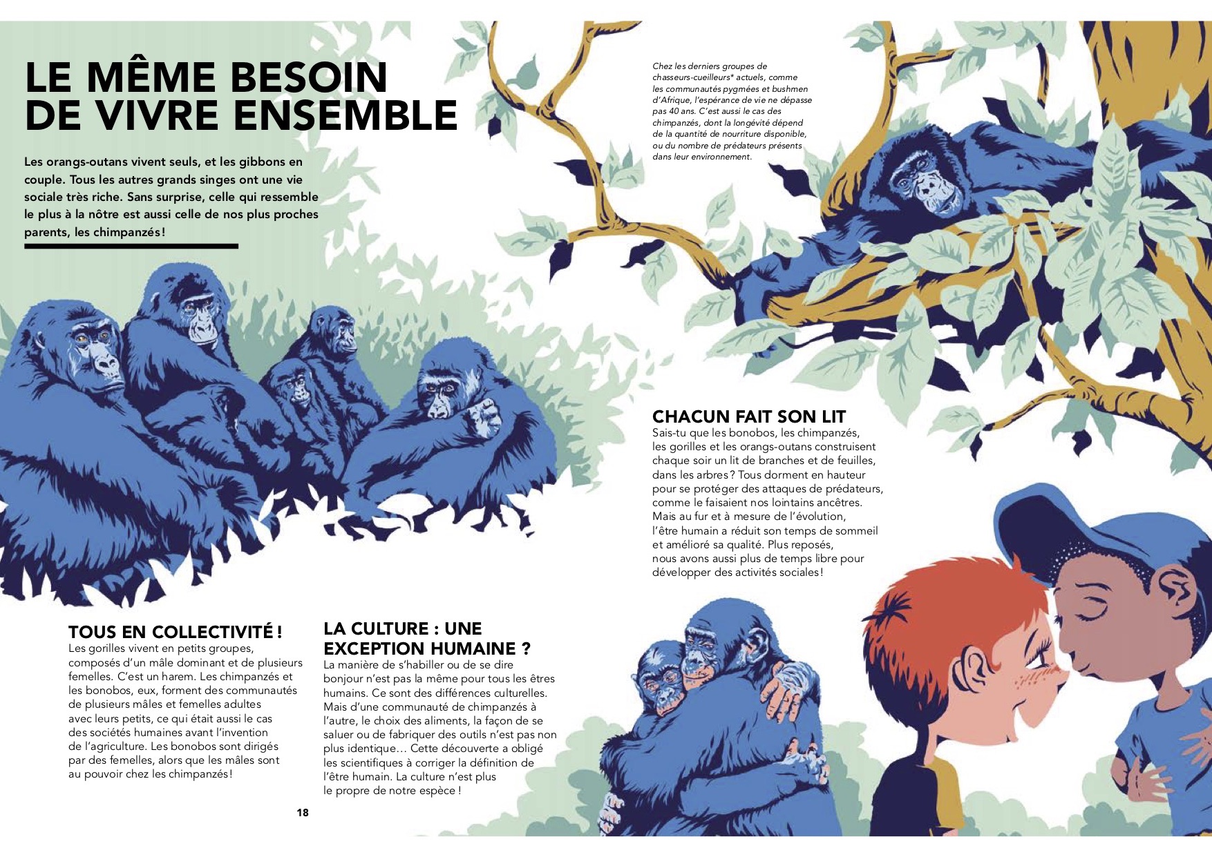 L'homme est-il un singe ? Saltimbanque