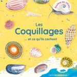 Les Coquillages…